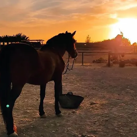 カントリーハウス Cowboy With Sea View