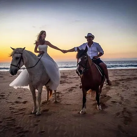 Cowboy With Sea View *