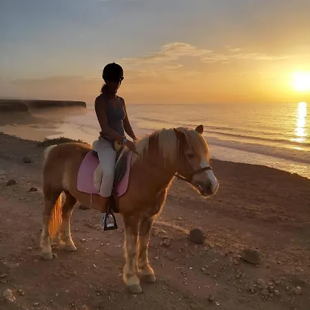 Cowboy With Sea View Landsted *