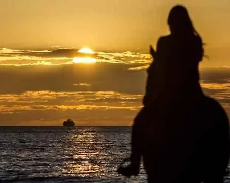 Cowboy With Sea View Landsted