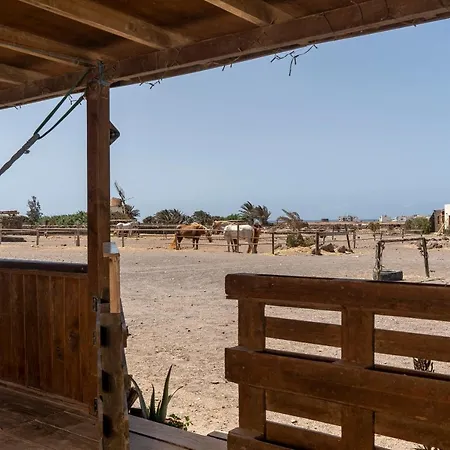 Cowboy With Sea View Roque